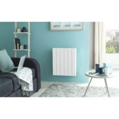 Radiateur Digital ACCESSIO ATLANTIC -Outils Des Pros 1 347